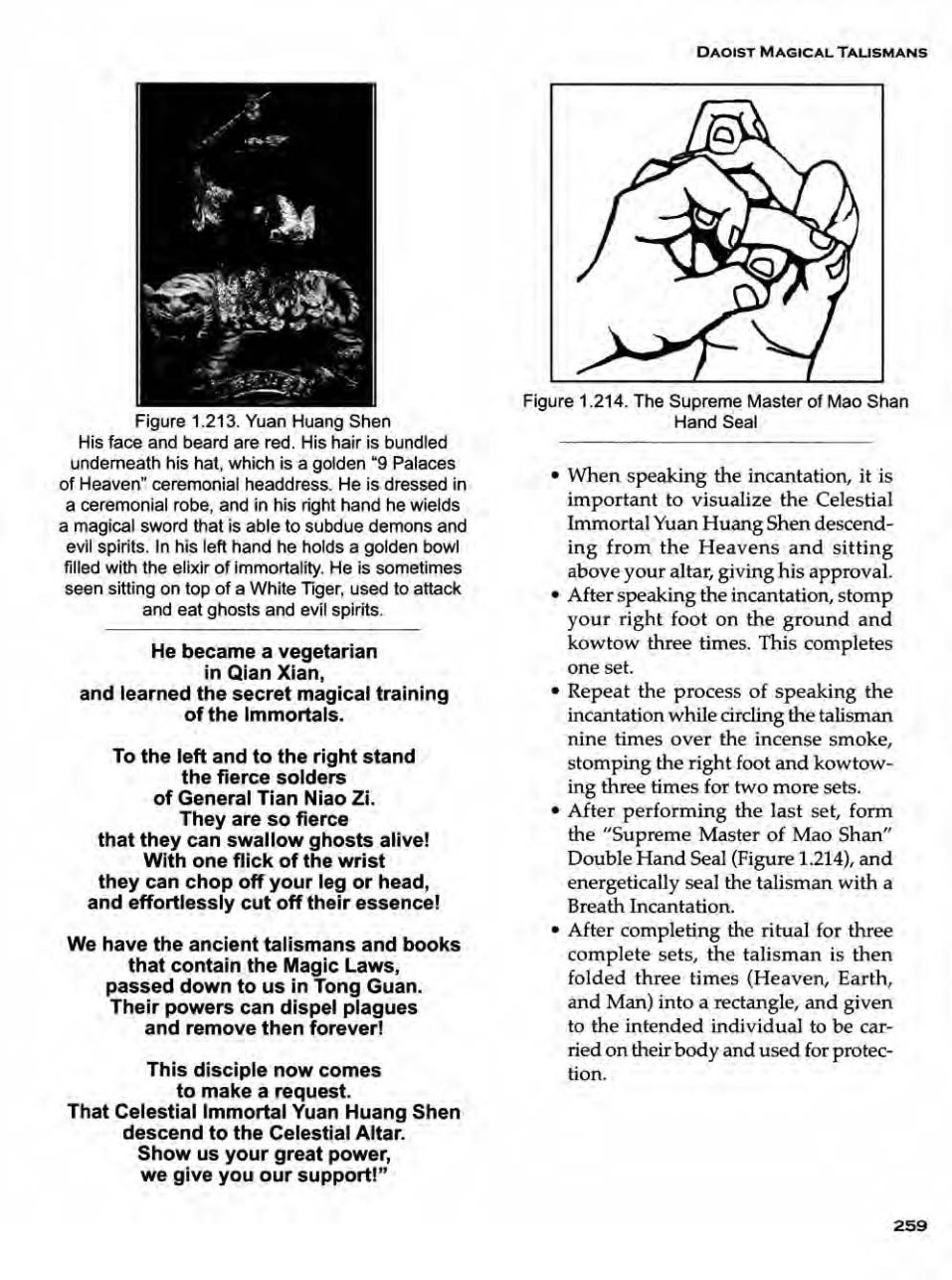 Daoist Magical Talismans (Jerry Alan Johnson) 第258页