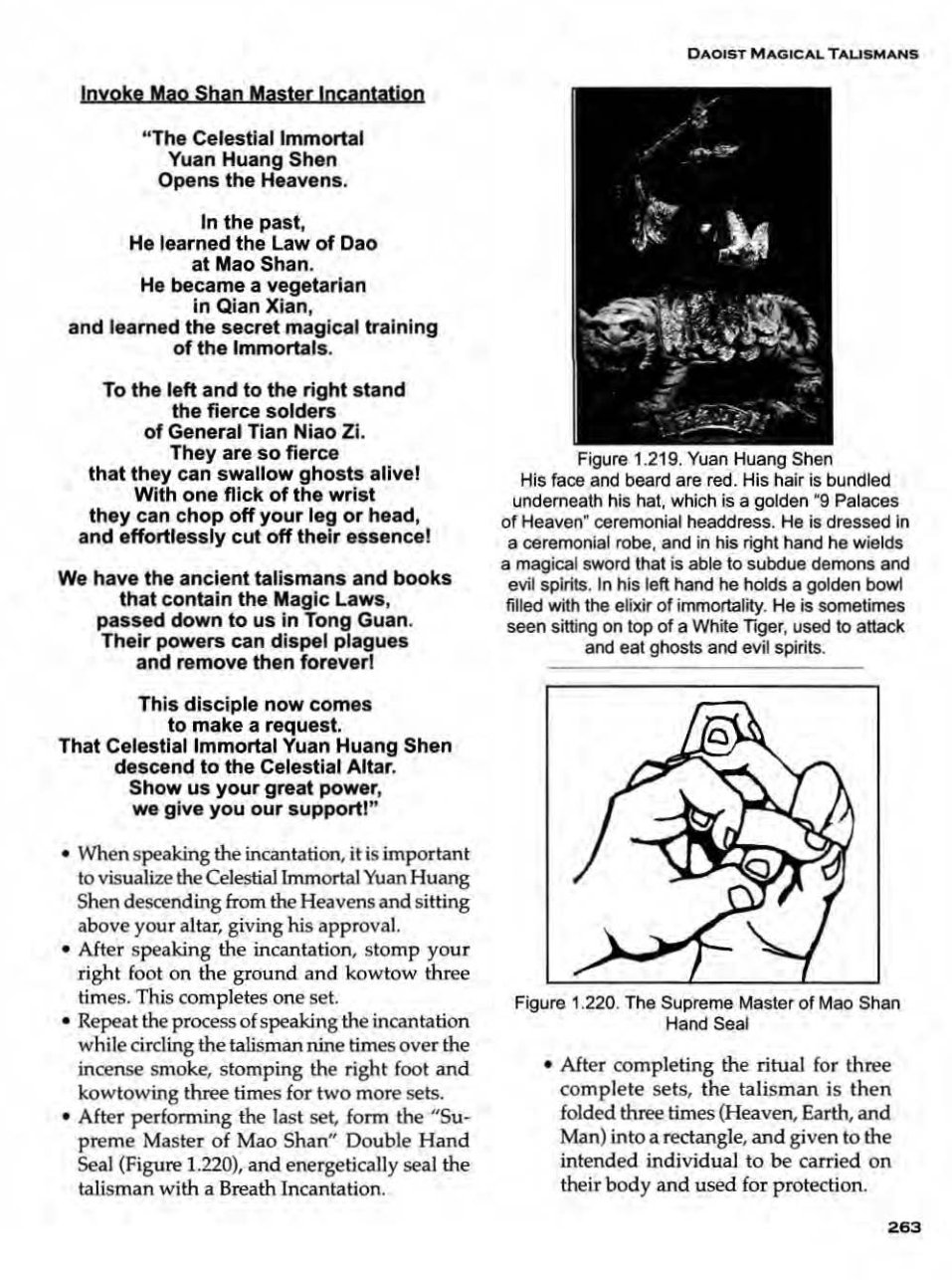 Daoist Magical Talismans (Jerry Alan Johnson) 第262页