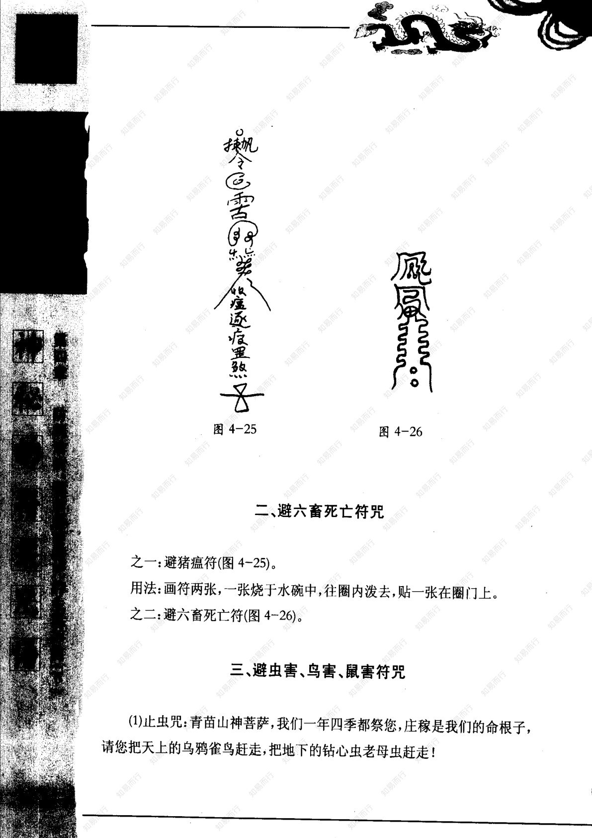 神秘的符箓咒语 第96页