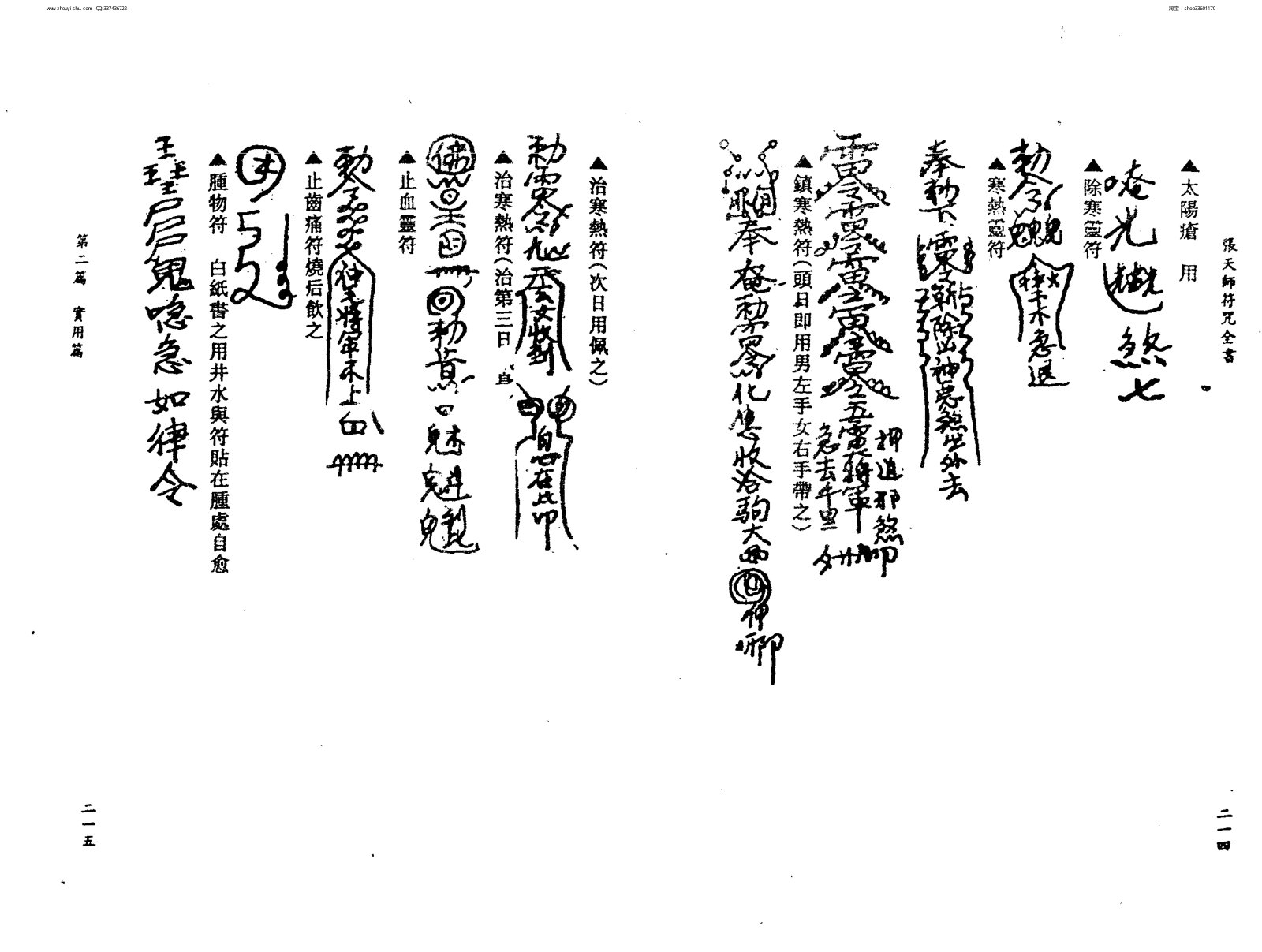 張天師符咒大全 第111页